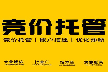 深入了解SEM竞价代运营公司：成功背后的故事